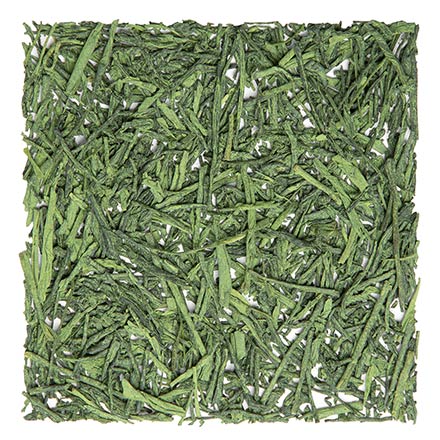 Matcha-Iri