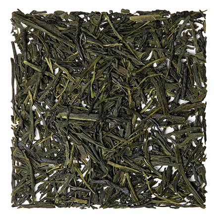 Sencha