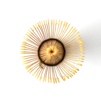 Matcha Whisk (Chasen) 80 Gold Bamboo