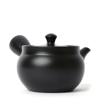Kyusu Tokoname Kasen