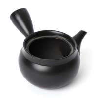 Kyusu Tokoname Kasen