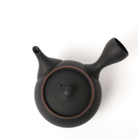 Kyusu Tokoname Hōryū Daian-Ji Pour Gauchers