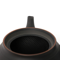 Kyusu Tokoname Hōryū Daian-Ji Pour Gauchers