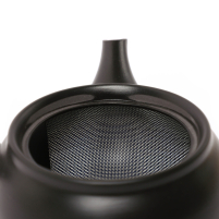Kyusu Tokoname Hiraami