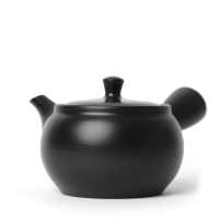 Tokoname Kyusu Hiraami Gaucher