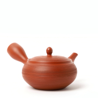 Kyusu Tokoname Shunshū Matsukawa