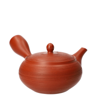 Kyusu Tokoname Shunshū Matsukawa