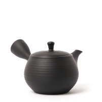 Kyusu Tokoname Hōryū Sendan