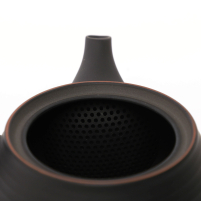 Kyusu Tokoname Hōryū Sendan