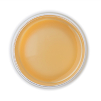 Tisane Au Gingembre Bio