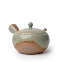 Kyusu Tokoname Kaiyu Yakishime