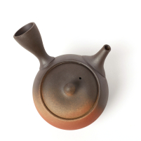 Kyusu Tokoname Isshin Yohen