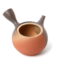 Kyusu Tokoname Isshin Yohen