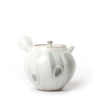 Kyusu Banko Taisen Hakuyu Koma