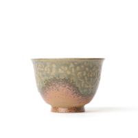 Kyusu Tokoname Isshin Irabo Set