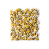 Organic Camomile Tea 