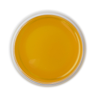 Pure Golden curcuma bio