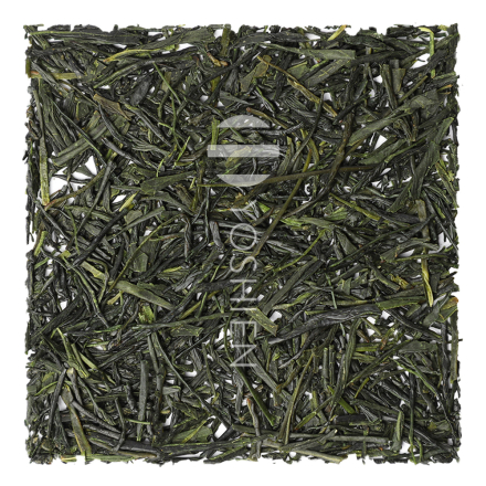 Organic Miyazaki Kabusecha