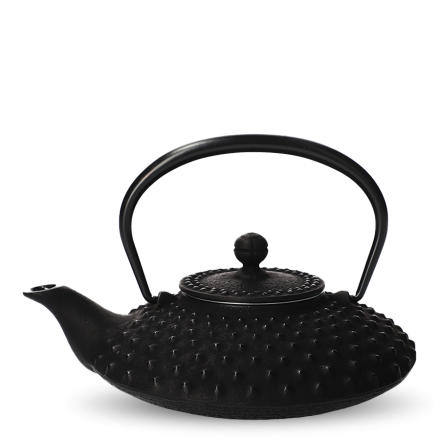 Tetsu-Kyusu Iwachu Kambin noir L