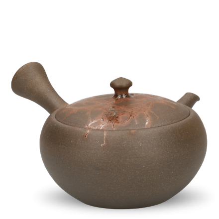 Kyusu Tokoname Gafu Mogake
