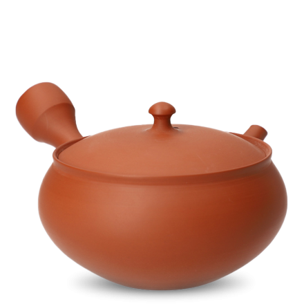 Kyusu Tokoname Gafu Hira-Maru #1