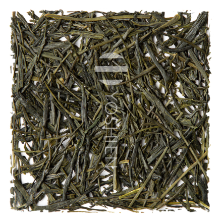 Sencha Honyama Yamakai