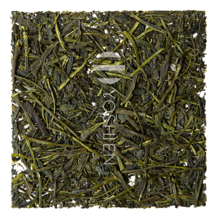 Fukamushi Sencha Kakegawa