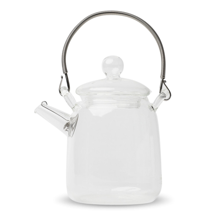 Japanese Glass Teapot Tsutsugata