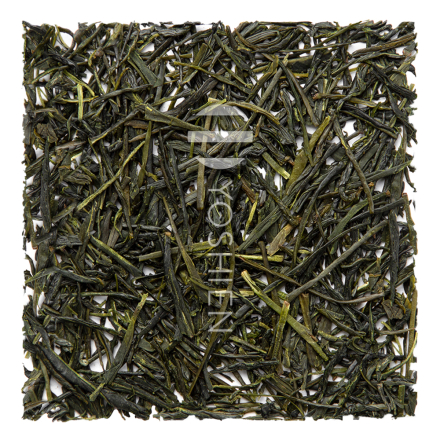 Sencha Kawane