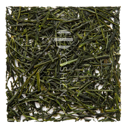 Sencha Makizono Saemidori Bio