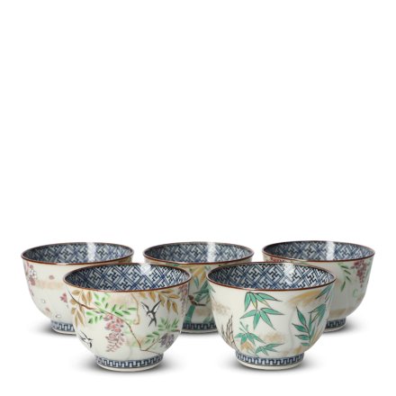 Japanese Teacup Set Porcelain Irodorikachō