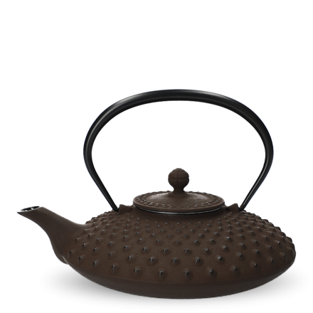 Tetsu-Kyusu Iwachu Kambin marron M