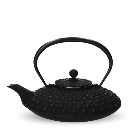 Iwachu Tetsu Kyusu Black Kambin M