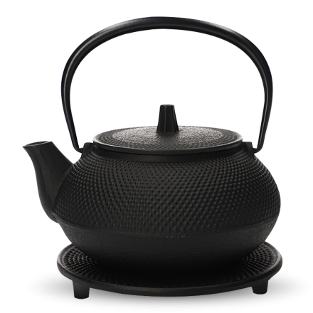 Iwachu Tetsubin-Kyusu Kombi Set