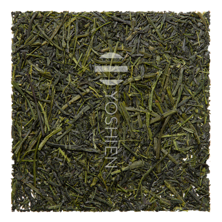 Cold Brew Premium Sencha Green Tea Bags