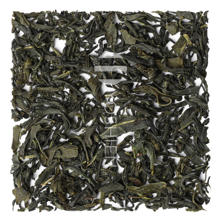 Tamaryokucha Ureshino Meban Bancha Pest.Free