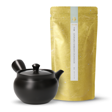 Gyokuro Shibushi Okumidori Bio+ Tokoname Kyusu Kasen