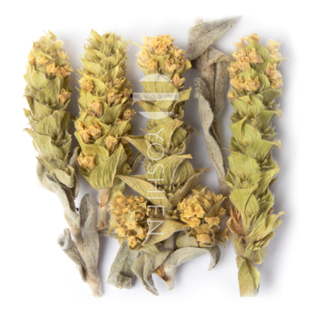 Mursalski Mountain Tea