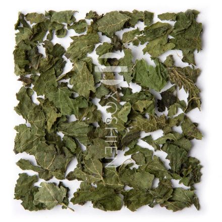 Brennnesseltee Bio Alpenkräuter