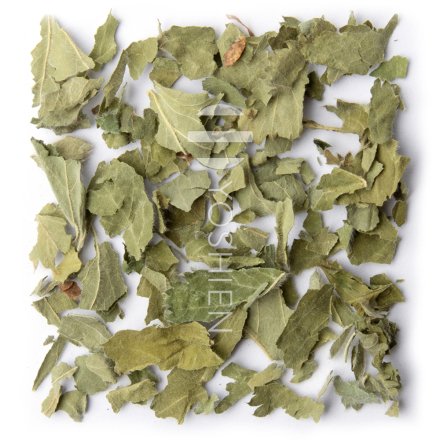 Organic Lady's Mantle Tea Alpine Herbs