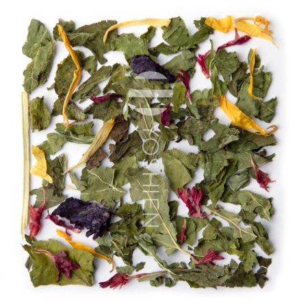 Organic Family Tea Alpine Herbs