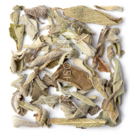 Tisane De Sauge, Herbe Des Montagnes