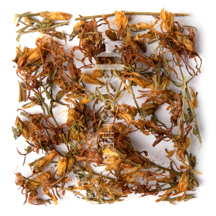 Organic St. John's Wort Tea