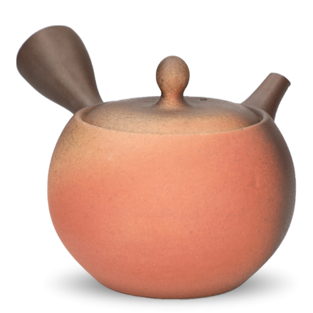 Kyusu Tokoname Isshin Yohen Komadori