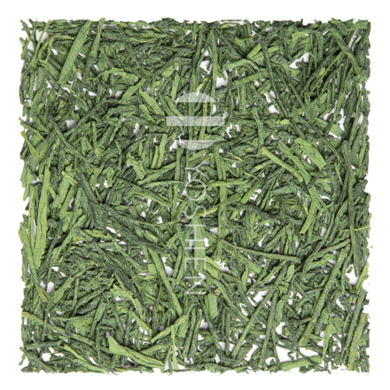 Gyokuro Matcha Ikkyu Bio