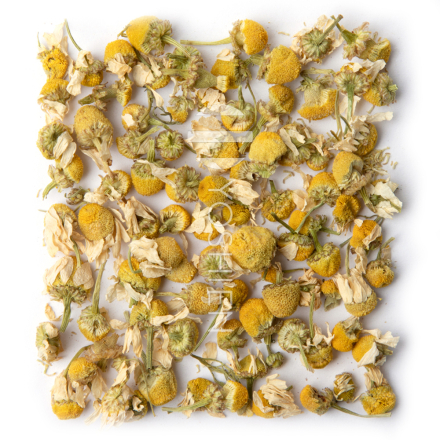 Tisane À La Camomille Bio