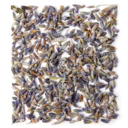 Tisane de lavande biologique