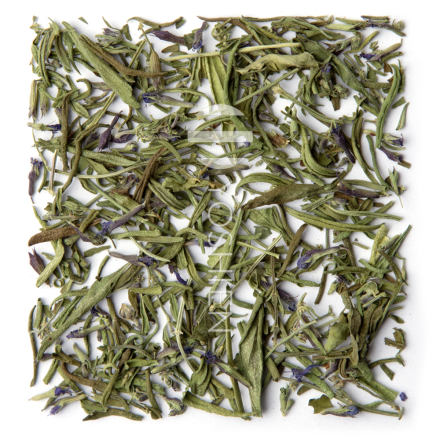 Tisane D'hysope Bio