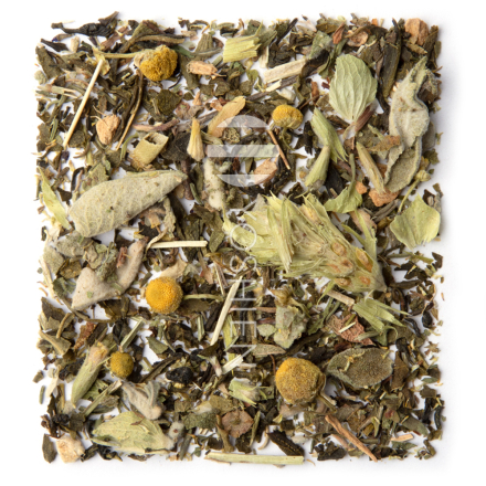 Cistus Benifuuki Forte Blend