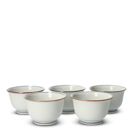 Japanese Teacup Set Porcelain Somekamon